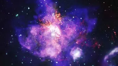 "ناسا تعرض "باقة من النجوم المزهرة"