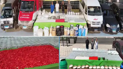 المُخدرات المضبوطة