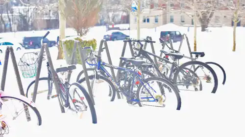 ثلوج في أمريكا