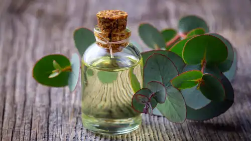 زيت الكافور