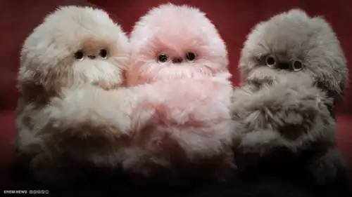 "ميرومي".. روبوت يتفاعل بذكاء ويُهدد شعبية "لابوبو"