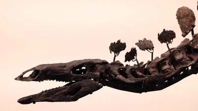 أكبر هيكل عظمي لديناصور