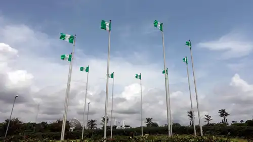 العلم النيجيري