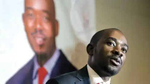 نيلسون تشاميسا