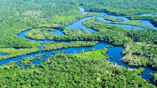 غابات الأمازون