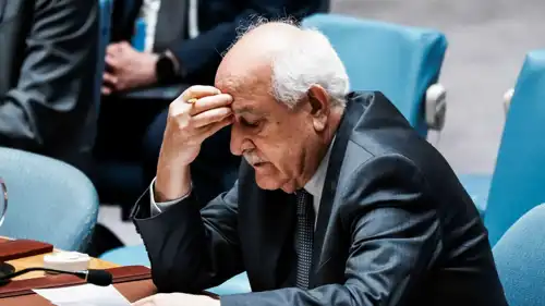 رياض منصور، مندوب فلسطين لدى الأمم المتحدة