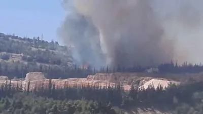 حريق يلفّ محيط قصر الشعب بدمشق