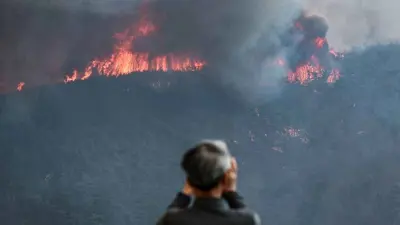 حرائق الغابات في كوريا الجنوبية 