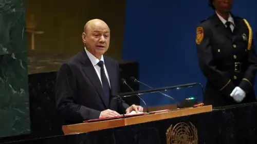 رشاد العليمي