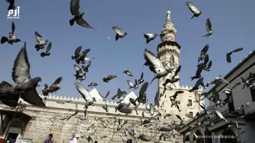 جيش دمشق الرمادي