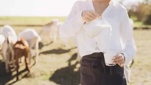 حليب الماعز