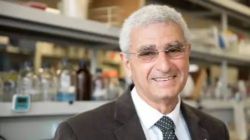 الدكتور المصري نبيل صيدح