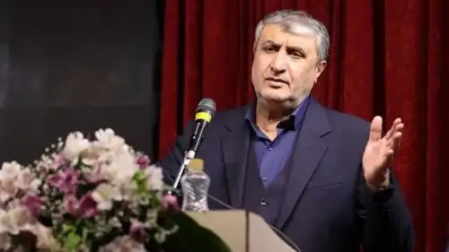 رئيس منظمة الطاقة الذرية الإيرانية محمد إسلامي