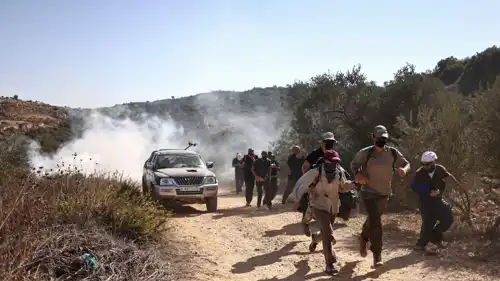 مستوطنون يعتدون على فلسطينيين خلال موسم الزيتون