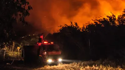 حرائق الغابات في تركيا