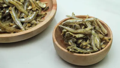 أسماك السردين 