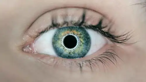 عين الإنسان (تعبيرية)