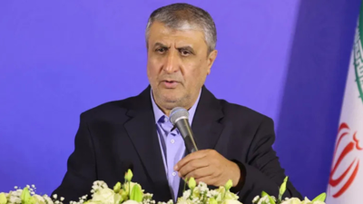 رئيس منظمة الطاقة الذرية الإيرانية محمد إسلامي