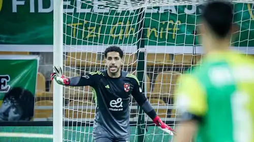 مصطفى شوبير