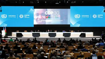 مؤتمر كوب 29