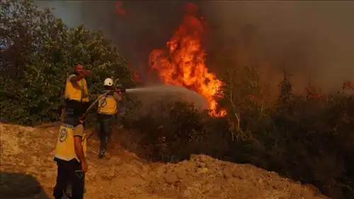 حرائق الغابات في ريف اللاذقية