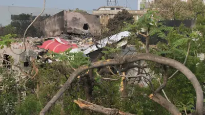 حطام الطائرة الهندية