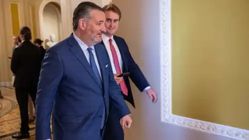  السيناتور الأمريكي تيد كروز 