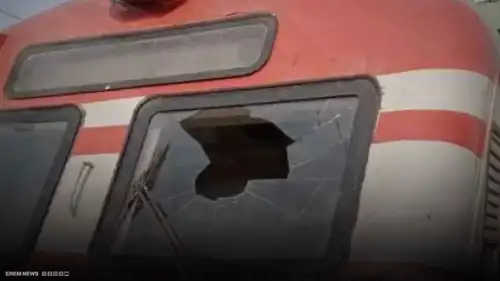 أوقف حركة القطارات في الهند.. نسر يقتحم الزجاج ويصيب السائق بجروح