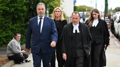 الفريق القانوني لإيرين باترسون