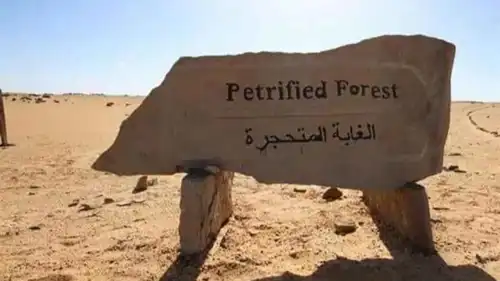 محمية الغابة المتحجرة في القاهرة 