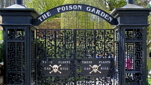 الحديقة السامة 