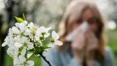 الحساسية الموسمية (تعبيرية)