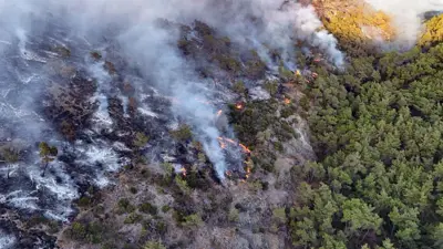 من حرائق اللاذقية