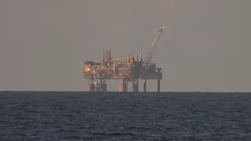 حقل مالامبايا 