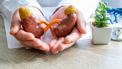 حماية الكليتين 