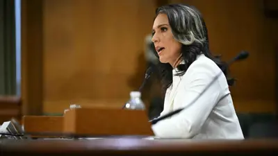 تولسي غابارد