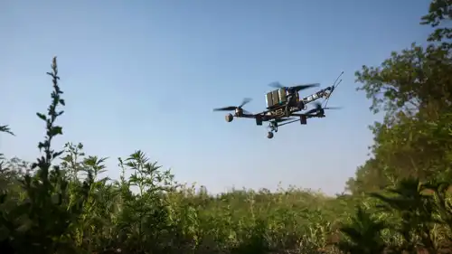 طائرة مسيرة