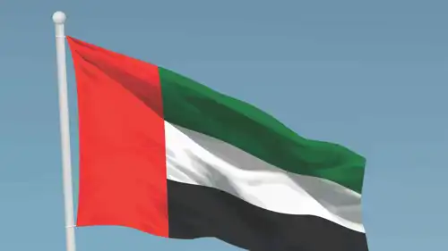 علم دولة الإمارات 