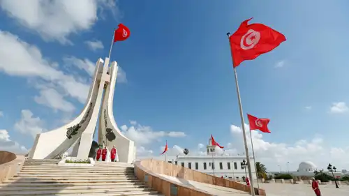 العلم التونسي