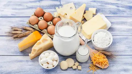 منتجات الألبان