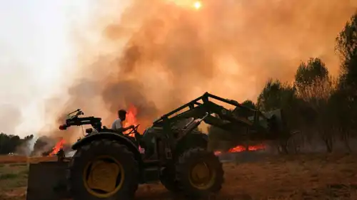 حرائق الغابات في إسبانيا