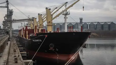 سفينة حبوب في ميناء تشورنومورسك شرقي أوديسا 