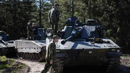 جنود سويديون