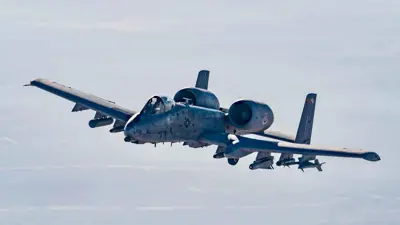 طائرة "الخنزير"