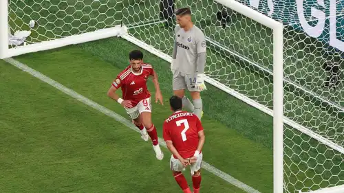 وسام أبو علي