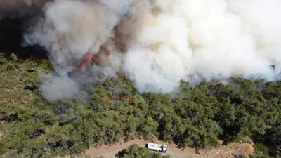 حرائق اللاذقية 