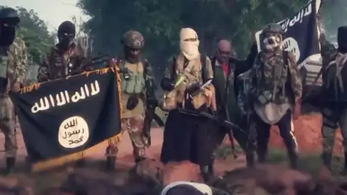 تنظيم داعش في موزمبيق