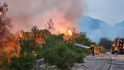 جانب من حريق غابات السفكون بريف اللاذقية السوري