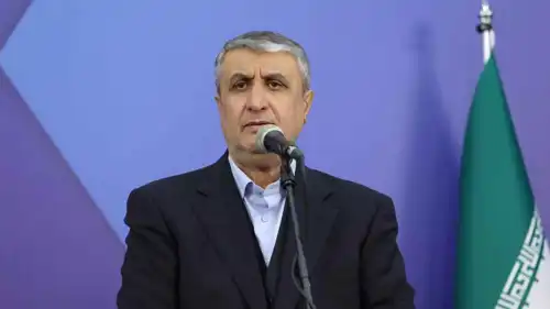 نائب الرئيس الإيراني ورئيس منظمة الطاقة الذرية، محمد إسلامي