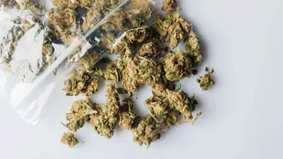 الماريغوانا